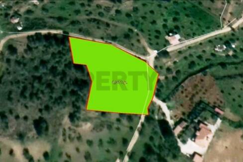 For Sale, Agricultural Land in Lythrodontas