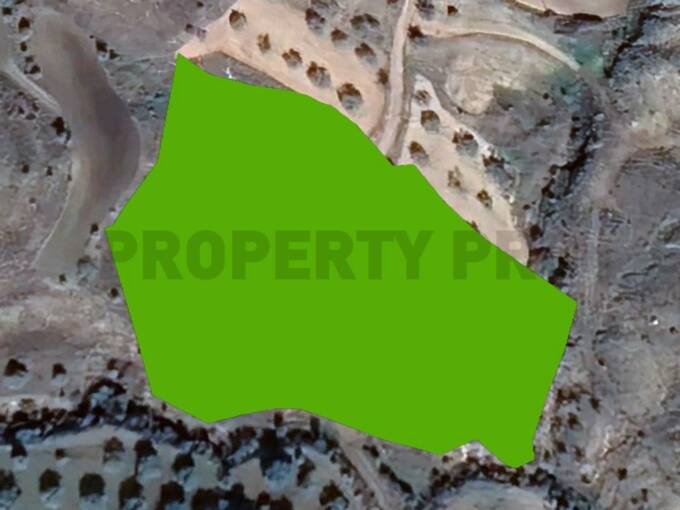 For Sale, Agricultural Land in Pera