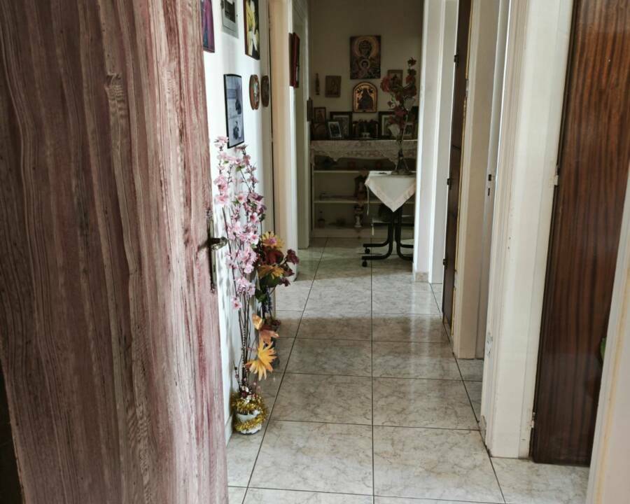 viber_image_2025-06-26_16-25-56-921