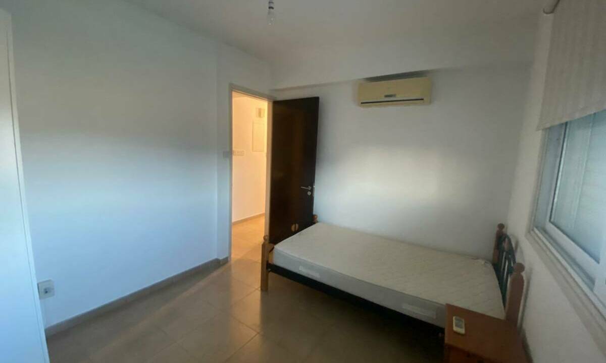 viber_image_2025-09-17_11-40-11-757