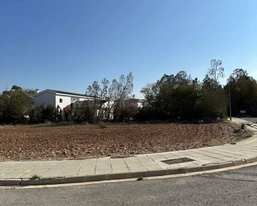 WhatsApp Image 2025-11-04 at 12.20.45 (3)