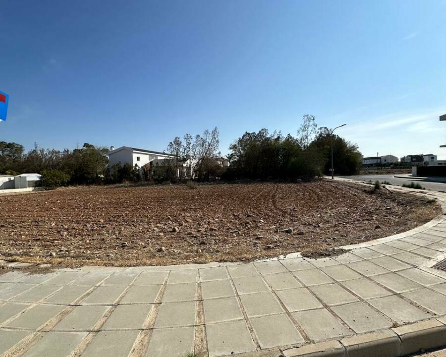 WhatsApp Image 2025-11-04 at 12.20.45