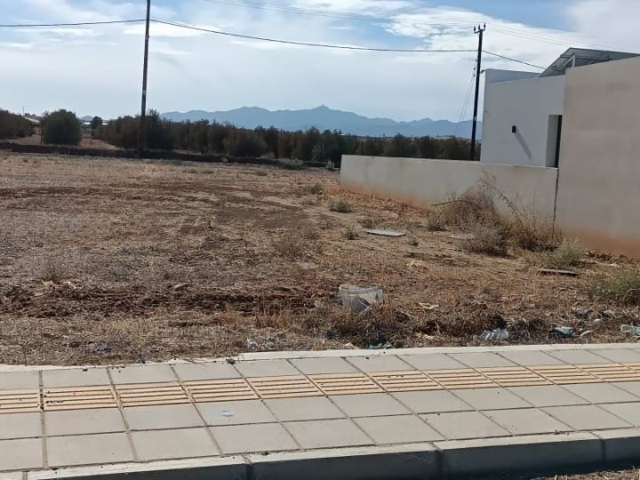 WhatsApp Image 2025-11-04 at 12.29.39