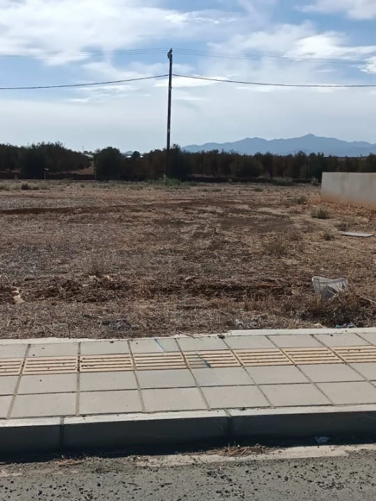 WhatsApp Image 2025-11-04 at 12.31.13