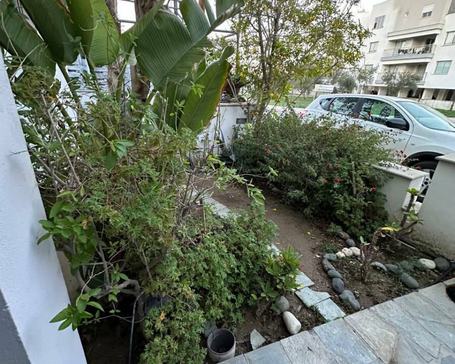 WhatsApp Image 2025-12-15 at 13.31.20 (3)