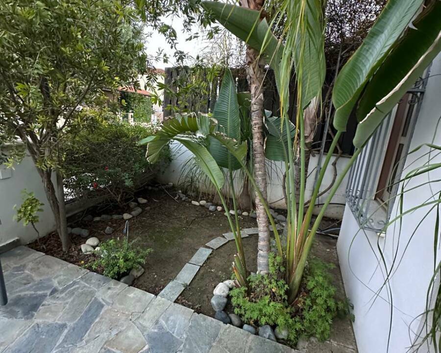 WhatsApp Image 2025-12-15 at 13.31.20 (4)