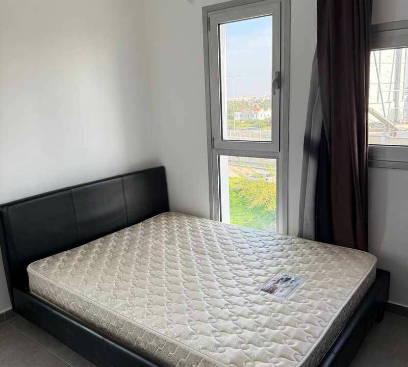 WhatsApp Image 2026-01-15 at 14.19.46 (3)