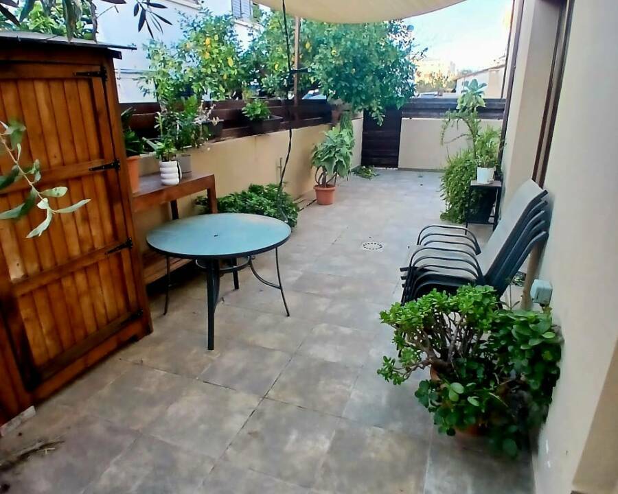 WhatsApp Image 2026-02-16 at 12.49.34