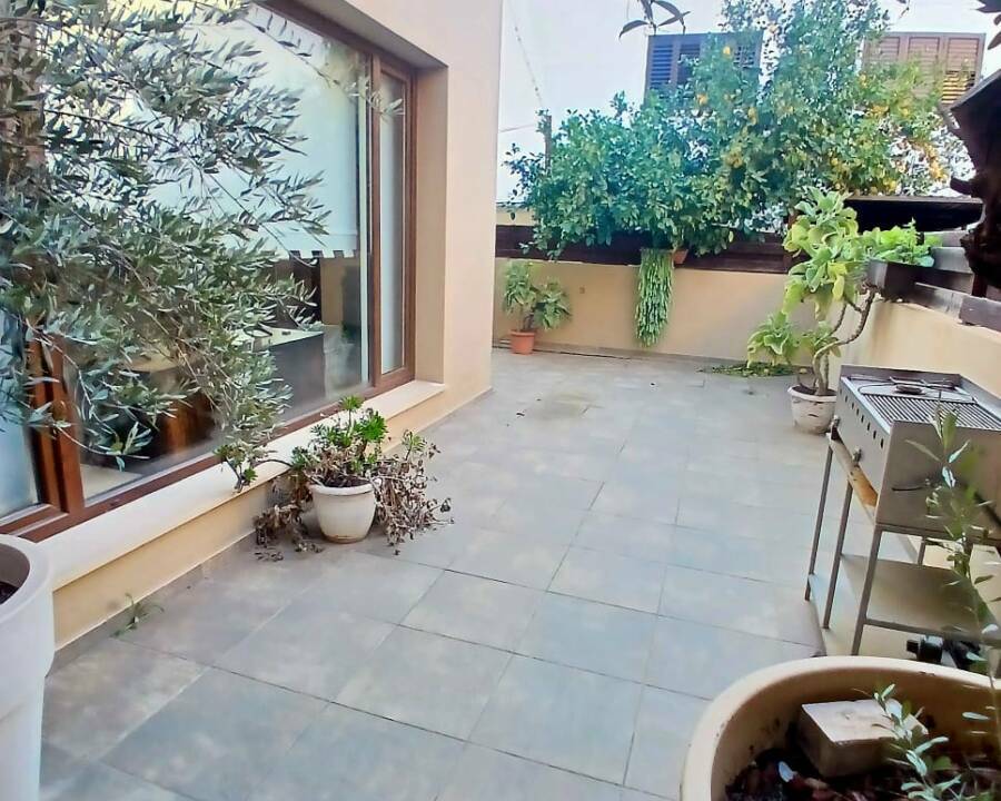 WhatsApp Image 2026-02-16 at 12.49.35