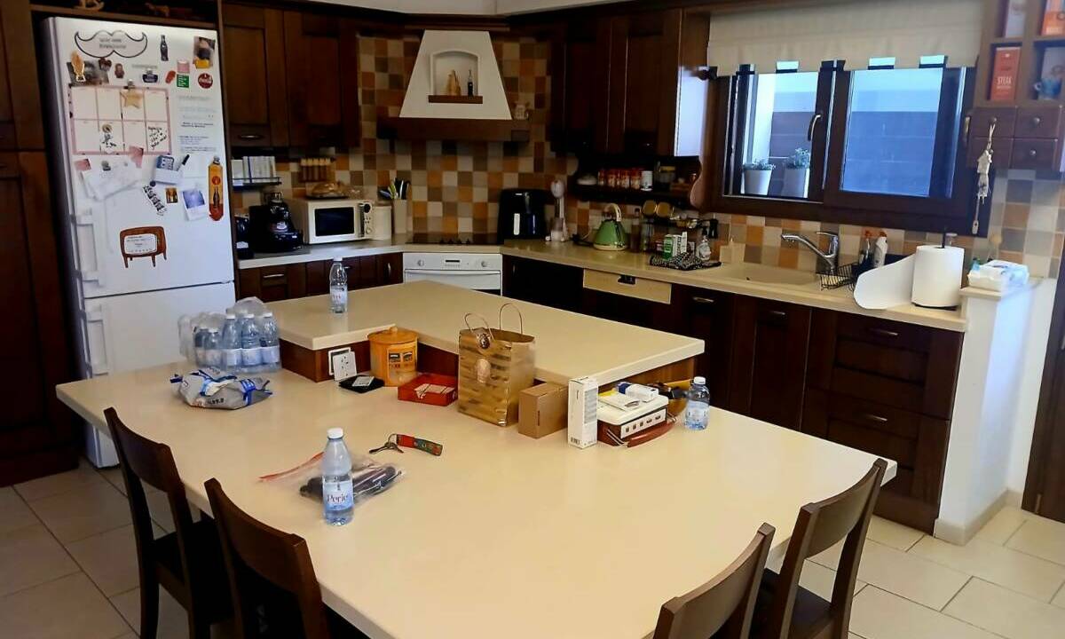 WhatsApp Image 2026-02-16 at 12.49.36