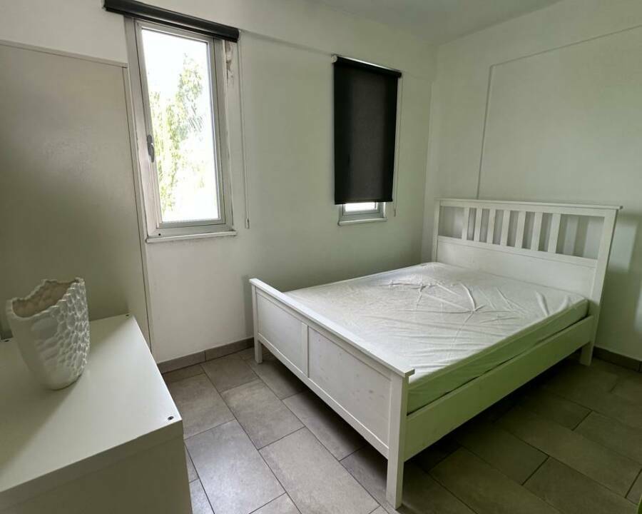 WhatsApp Image 2026-02-19 at 13.54.01 (1)