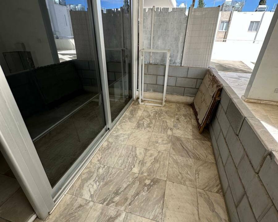 WhatsApp Image 2026-02-19 at 13.54.02