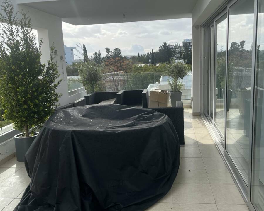 viber_image_2026-01-26_17-10-22-529