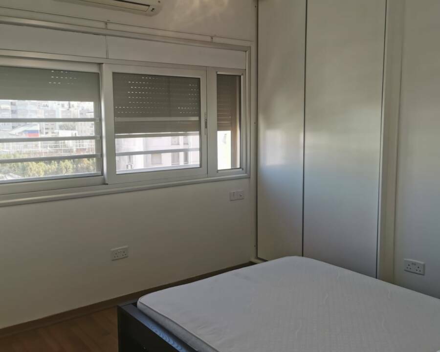 viber_image_2026-02-17_17-04-26-872