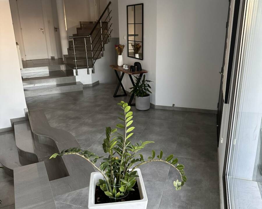 viber_image_2026-02-14_09-40-33-678