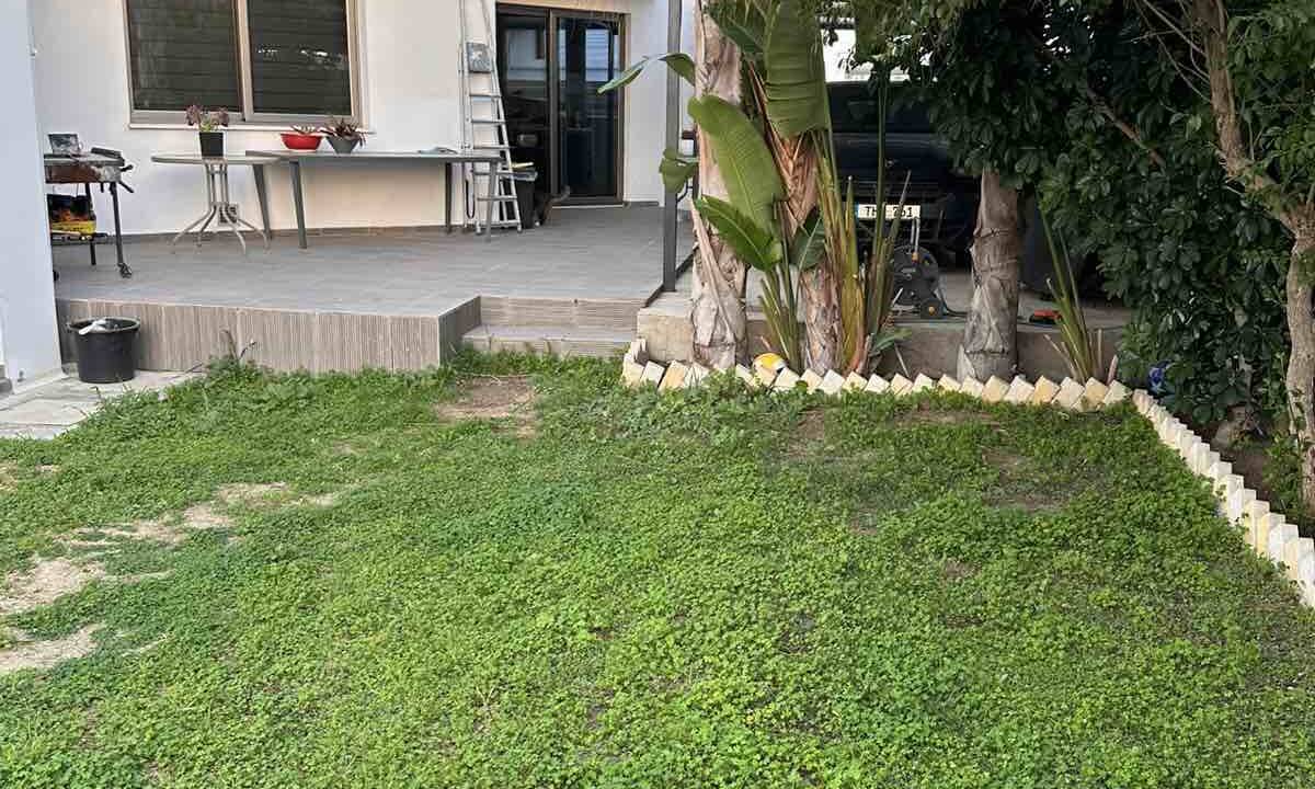 viber_image_2026-02-14_09-42-13-149