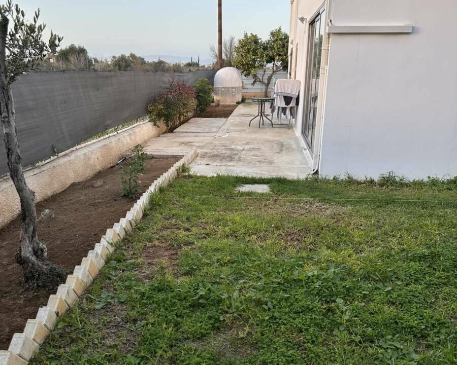 viber_image_2026-02-14_09-42-24-235