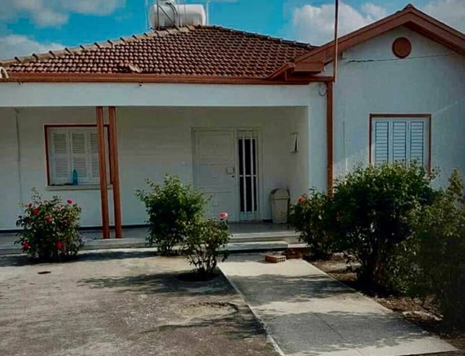 viber_image_2026-06-04_18-29-19-003