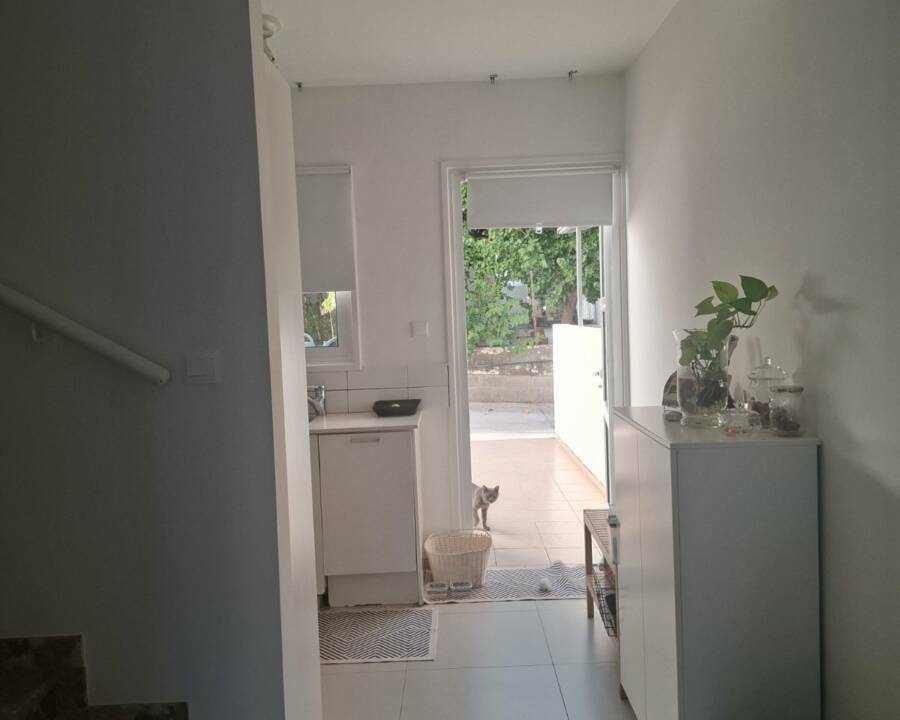 viber_image_2026-07-20_19-18-47-655